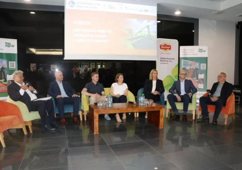 Rzepak pod presją suszy, przymrozków i braków w ochronie. Eksperci: import będzie konieczny
