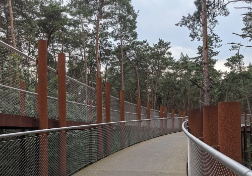 10 m nad ziemią. Ta ścieżka zachwyca całą Europę. "Można sięgnąć koron drzew"