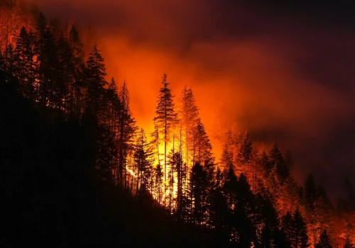 Rdzawe niebo nad Kanadą. Ponad 800 pożarów, ewakuują Indian