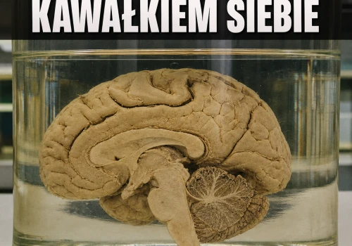 Mózg zgłasza brak mózgu