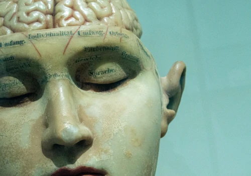 Gdy mózg nie zmyje toksyn, pojawiają się omamy? Niezwykłe odkrycie neurobiologów!