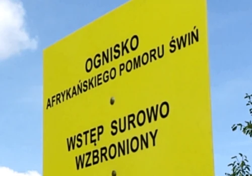 Trzecie ognisko ASF w 2026 r. W chlewni dwa tysiące świń