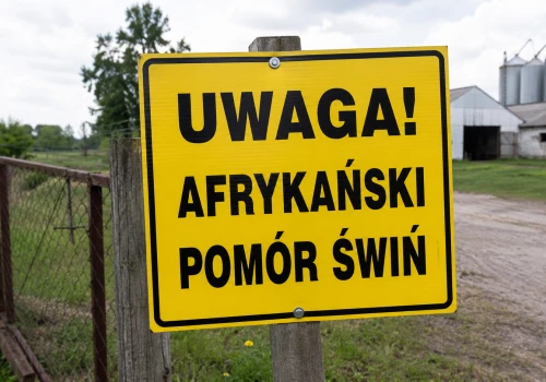 Strefa III ASF rozszerzona. Nowe ograniczenia obejmą kolejne gminy