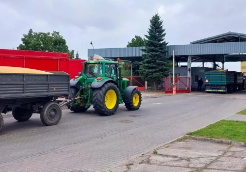 Ceny zbóż znów w górę. Świnie odbiły. Co teraz z nawozami?