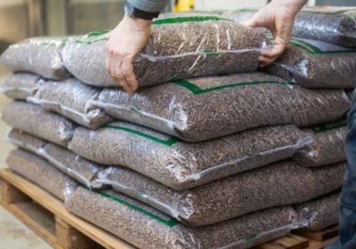 Poszła fama, że Lasy Państwowe będą produkować pellet. Oto odpowiedź z centrali