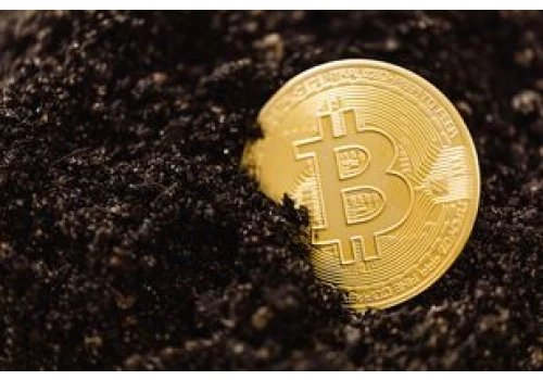 Tak wykorzystują kryptowaluty. Służby ostrzegają