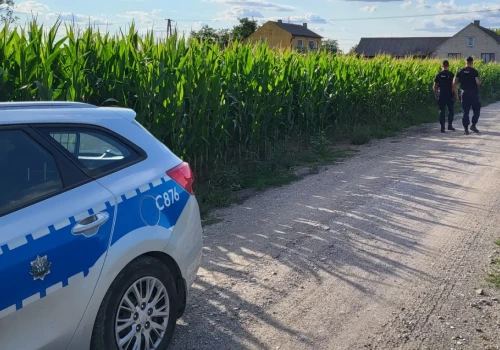 Detektory w kombajnach są bezradne wobec tej pułapki