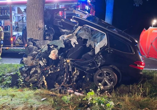 Tragiczny wypadek pod Śremem. Auto tak wbiło się w drzewo, że nie można było go oderwać. Służby opublikowały nagrania i zdjęcia