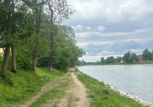 Wycinka nad Nysą Kłodzką
