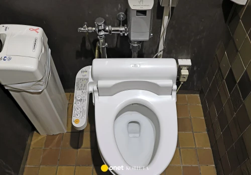 Już nie toalety, a washlety bez papieru toaletowego. Nowy trend z Japonii