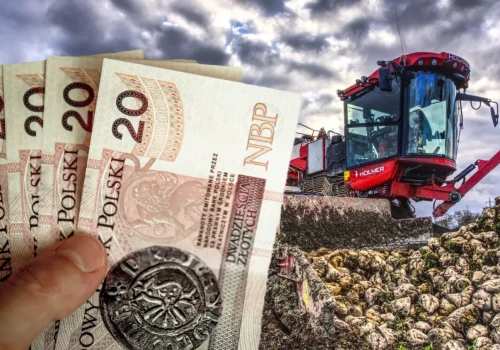 Buraki przestają się opłacać. Nawałnice tylko pogłębiły kryzys plantatorów