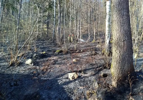 Podpalacz w akcji – apel strażaków