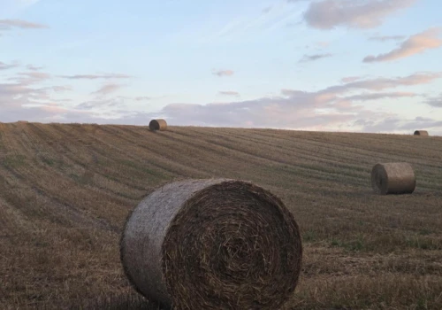Te błędy to ryzyko pożaru stogu słomy. Na to koniecznie zwróć uwagę