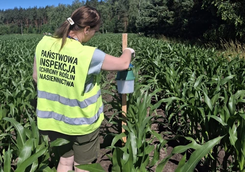 WIORiN prowadzi monitoring upraw. Co sprawdza?