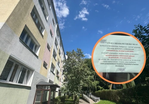 Pluskwy na łódzkim Radogoszczu. Co na to spółdzielnia?