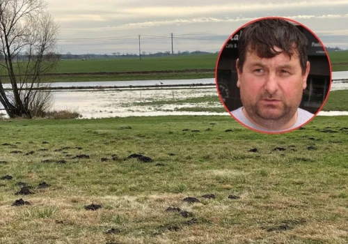 10 ha łąk pod wodą. Rolnik: „Bez ratraka nie będę miał paszy”