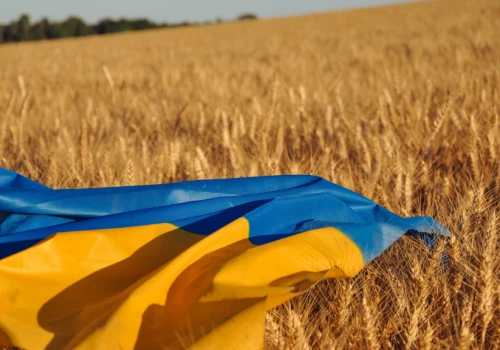 Ukraińskie zboże może ominąć granicę, ale nie rynek. PZPRZ ostrzega przed skutkami tranzytu