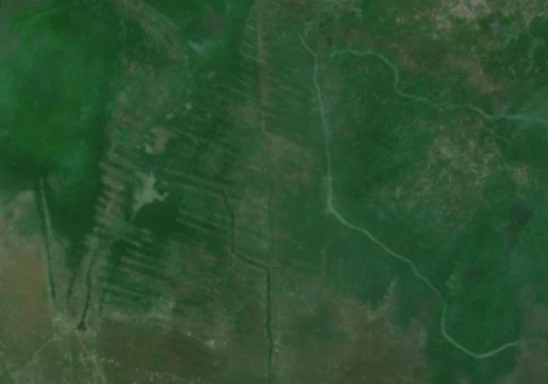 Camellones – historyczne struktury na 500 000 hektarów mogły powstać bez władzy centralnej