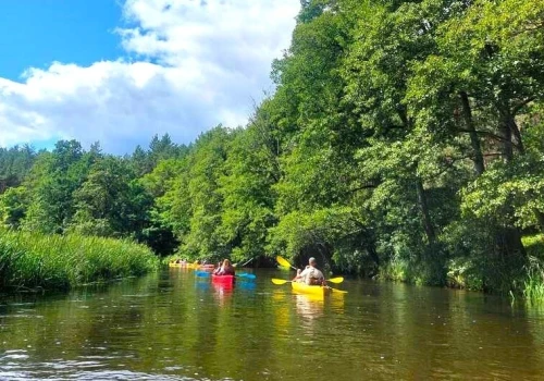 Po aferze z bonem jest nowy pomysł na turystów