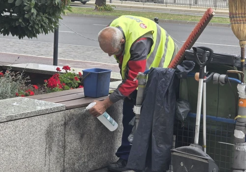 Społecznicy chcą wysprzątać Szczecin