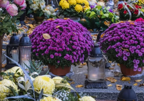 Zmarli we Wrocławiu - pogrzeby zaplanowane na 20.08.2026 – nekrologi