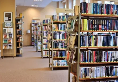 Niepotrzebne książki? Gdańskie biblioteki na nie czekają