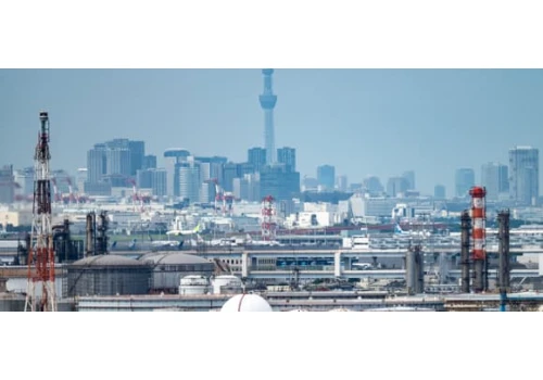Japonia: Trzęsienie ziemi wstrząsnęło Tokio