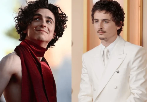 Timothée Chalamet – jak książę indie stał się hollywoodzką marką