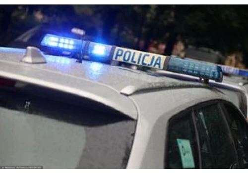 Strzały w Żorach. Nocna akcja policji