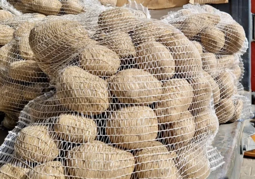 Zamiast świeżych bulw - frytki i chipsy. Ukraina celuje w rynek UE