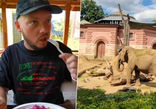 ZOO we Wrocławiu reaguje po filmie Książula. Jest wezwanie do pilnego wyjaśnienia
