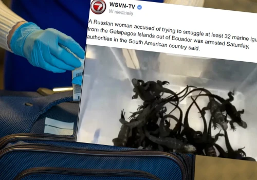 Wcisnęła do walizki 8 plastikowych opakowań. W środku trzymała żywe stworzenia. Została zatrzymana