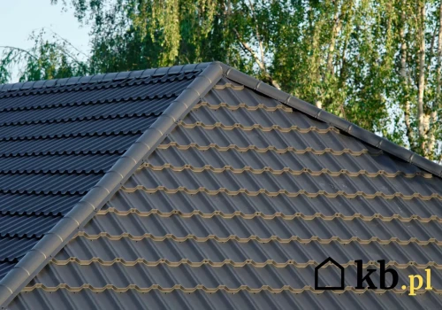 Dach wyglądał idealnie przez kilkanaście lat. Kilka centymetrów niżej trwał kosztowny problem
