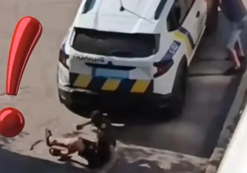 Położył się na jezdni. Policja po nim przejechała! (WIDEO)