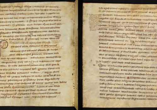 Historia wirusa ospy owczej ukryta w kartach średniowiecznych manuskryptów