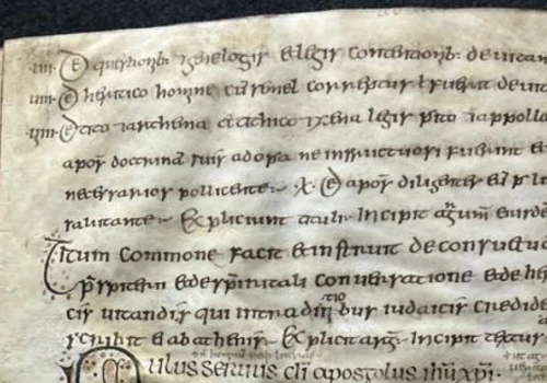 Naukowcy odzyskali DNA wirusa ospy owiec ze średniowiecznego pergaminu