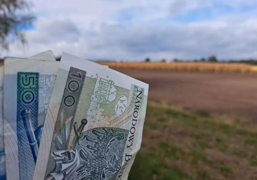 Ponad 526 tys. rolników wybrało tę płatność. W 2027 roku może spaść o 160 zł/ha