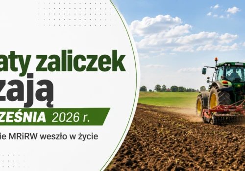 Zaliczki dla rolników wcześniej niż zwykle. Wypłaty ruszą 8 września