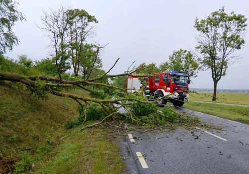 Setki interwencji po wichurach. Najgorzej było w powiecie stargardzkim