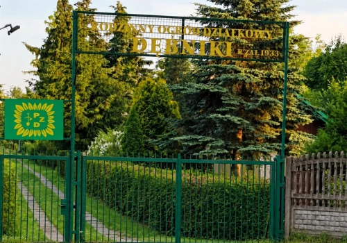 Puste szambo, pełny rachunek. Kraków szykuje zmianę przepisów dla tysięcy działkowców