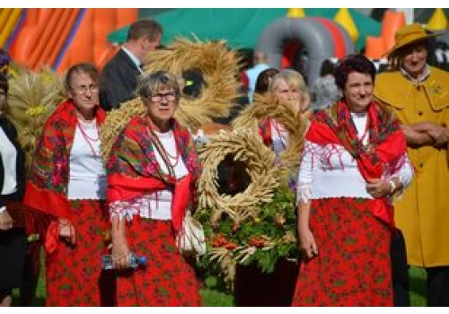 Dożynki Powiatu Poddębickiego w Dalikowie. Wieńce przygotowane na święto plonów zachwyciły