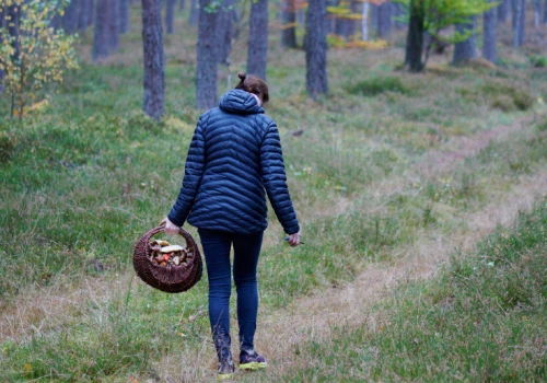 Grzybiarze na cenzurowanym. Jeden krok za daleko może skończyć się mandatem 500 zł