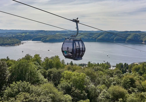 Podkarpackie ma więcej asów, niż myślisz