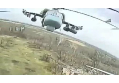 To już 69 egzemplarzy. Są dziesiątkowane w Ukrainie