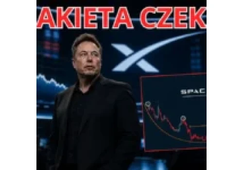 SpaceX akcje przed “ostatecznym czyszczeniem”? Potem kurs ma wystrzelić o 300%