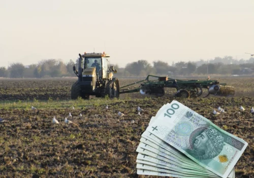 Zaliczki dopłat ruszają 8 września. Prawie 500 tys. rolników może dostać pieniądze w pierwszych dniach