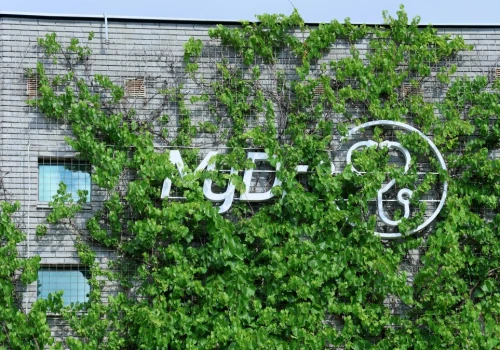 Dane 19 milionów pacjentów zagrożone. MyDr rozsyła ostrzegające SMS-y