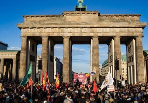 Protesty w Niemczech przeciwko AfD. 