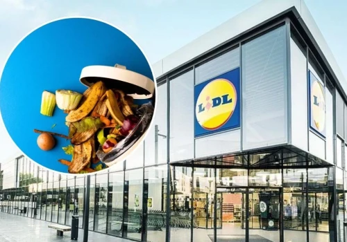 Jak nie marnować jedzenia? Lidl i Banki Żywności uczą tego kolejne pokolenie