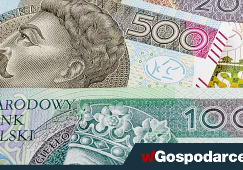50 tys. zł dotacji dla młodych osób